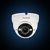 FE-IDV720AHD/35M Уличная купольная цветная AHD видеокамера