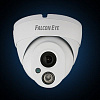 FE-IPC-DL200P  IP-видеокамера 1/2.8" SONY 2.43 Мпикс CMOS, 3,6 мм ик-10-15м