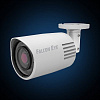 FE-IPC-BL202PA 2Мр уличная IP камера. ИК 20-30 м. Объектив f=3.6мм, POE, 